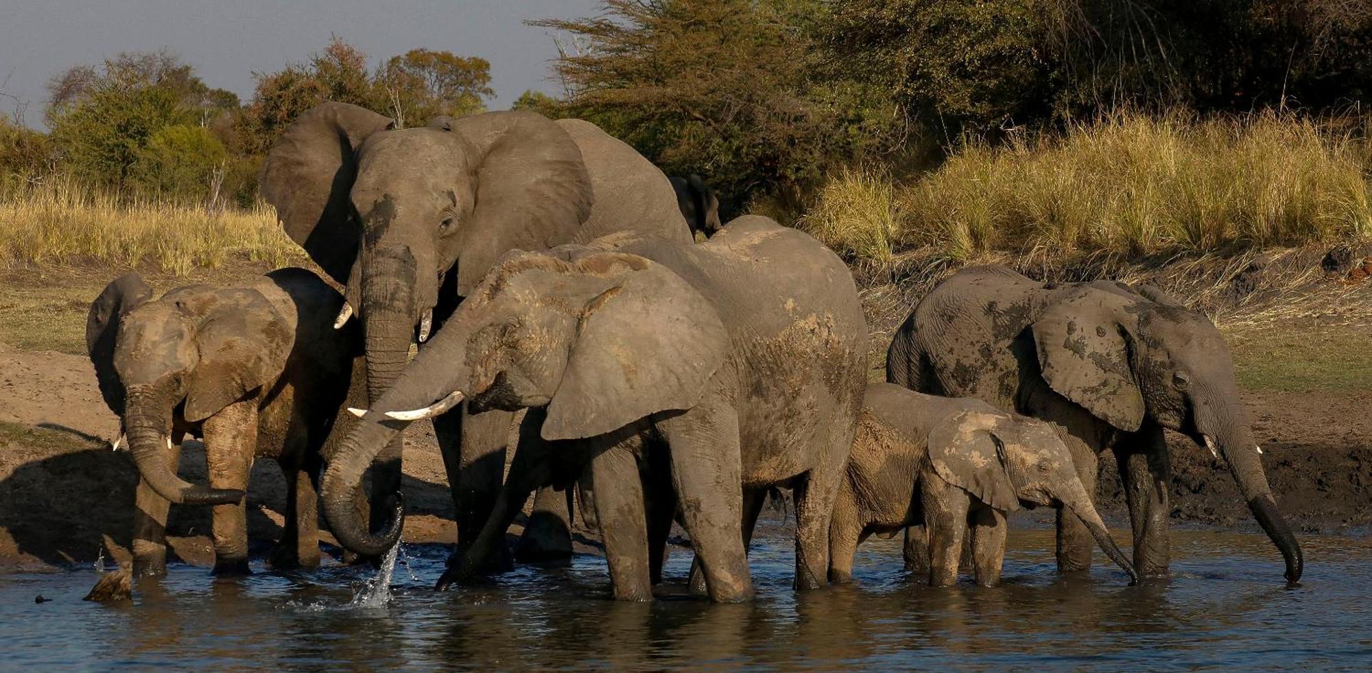 利文斯顿Zambezi Dusk别墅 外观 照片